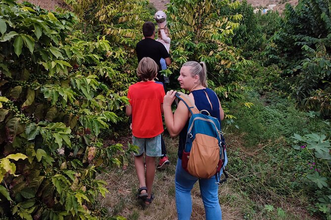 Guided Tour to the only coffee farm in Europe - Wildlife adds a little luck to the walk