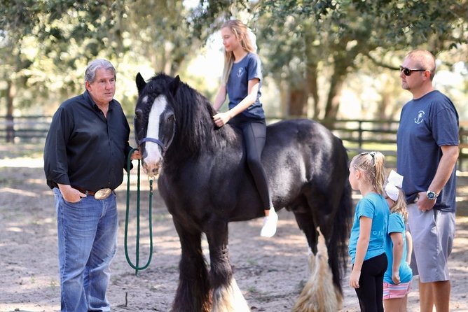 Gypsy Gold Horse Farm Tour - Who will enjoy this most