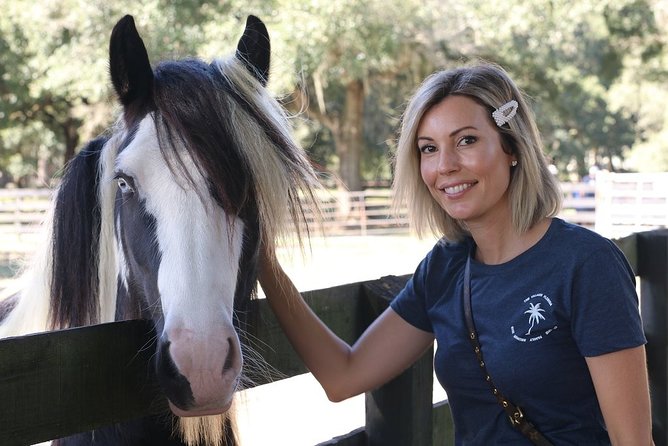 Gypsy Gold Horse Farm Tour - Timing, group size, and practical details