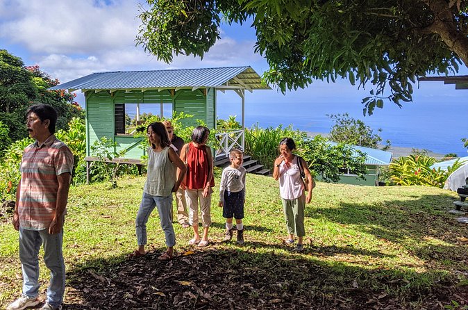 Hala Tree Coffee Farm Tour - What $10 gets you
