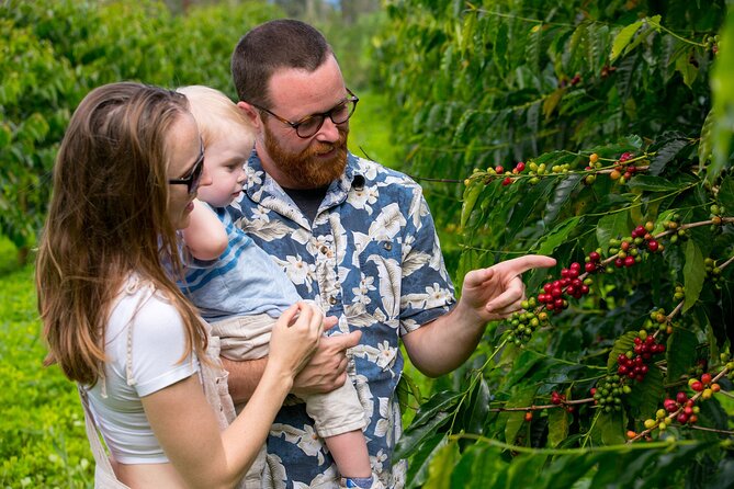 Hala Tree Coffee Farm Tour - Practical details before you book