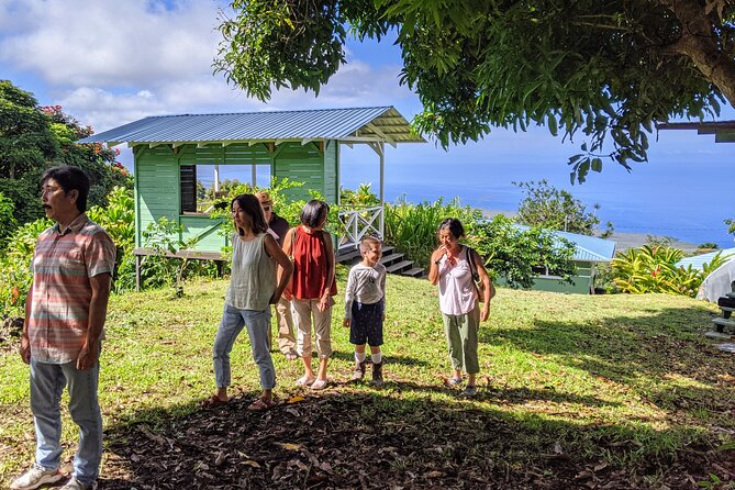 Hala Tree Coffee Farm Tour - Processing, roasting, and why flavors change