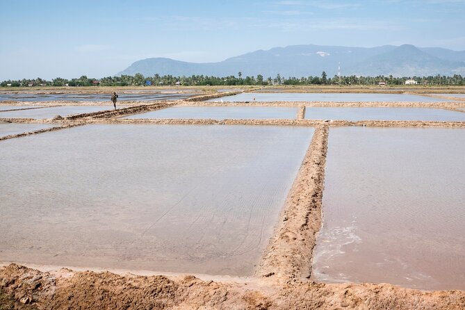 Half-Day Adventure to the Pepper Farm by Scooter - Why this scooter ride is a good way to see Kampot