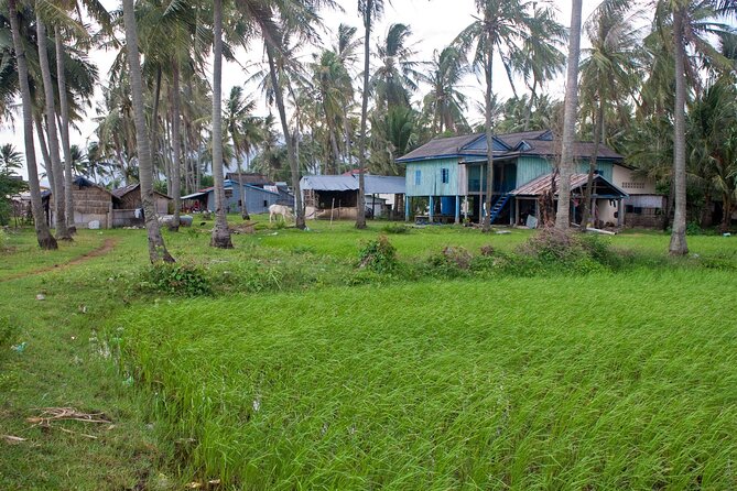 Half-Day Adventure to the Pepper Farm by Scooter - Rice paddies and traditional farming methods