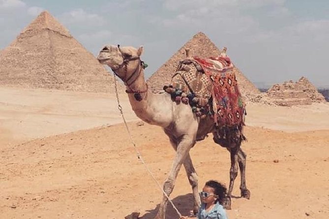 Half-Day Egypt Countryside Farm Tour. - Who should book this farm tour?