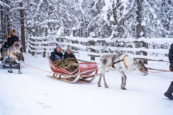 Half-Day Experience in Local reindeer farm in Lapland - From Rovaniemi to a family-run reindeer farm