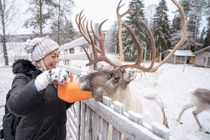 Half-Day Experience in Local reindeer farm in Lapland - What the $205.15 price really covers