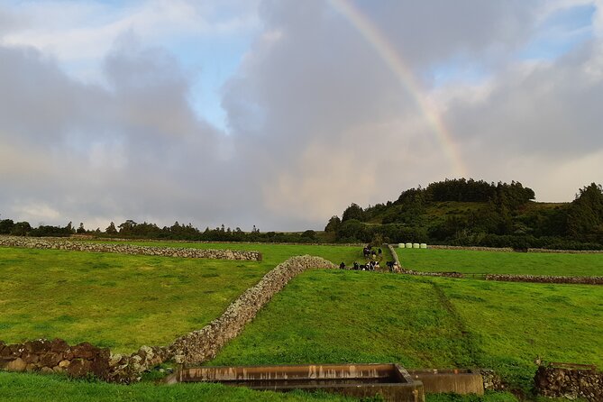 Half-Day Farm Visit and Cow Milking Experience - Cheese, Portuguese wine, and an Azorean home