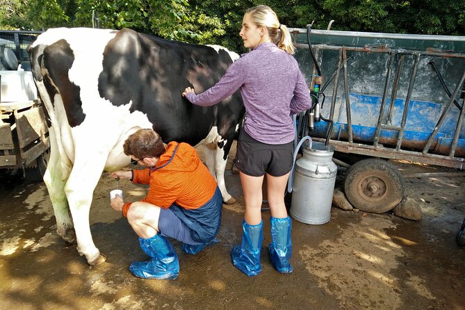 Half-Day Farm Visit and Cow Milking Experience - Who will enjoy this farm visit most?