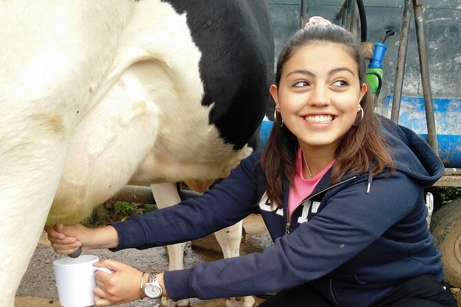 Half-Day Farm Visit and Cow Milking Experience - What the 10.5-mile farm-road route adds