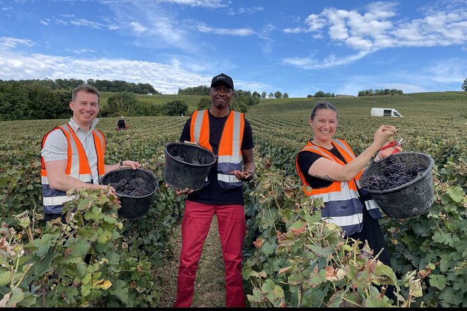 Half Day Grape Harvest Experience with Tasting in Epernay - Key points at a glance