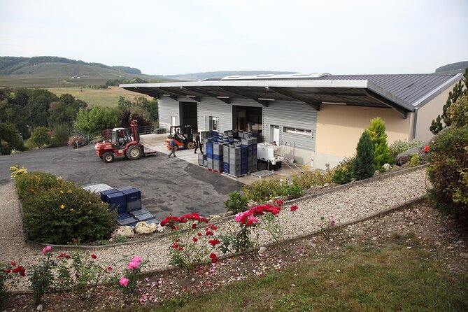 Half Day Grape Harvest Experience with Tasting in Epernay - What the four-hour schedule gives you