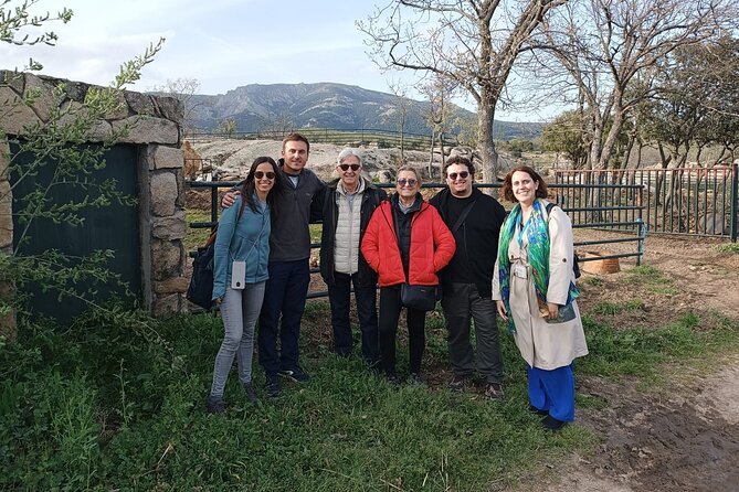 Half-Day Guided Tour to a bull farm in Madrid - Learning how ranchers select cattle for breeding