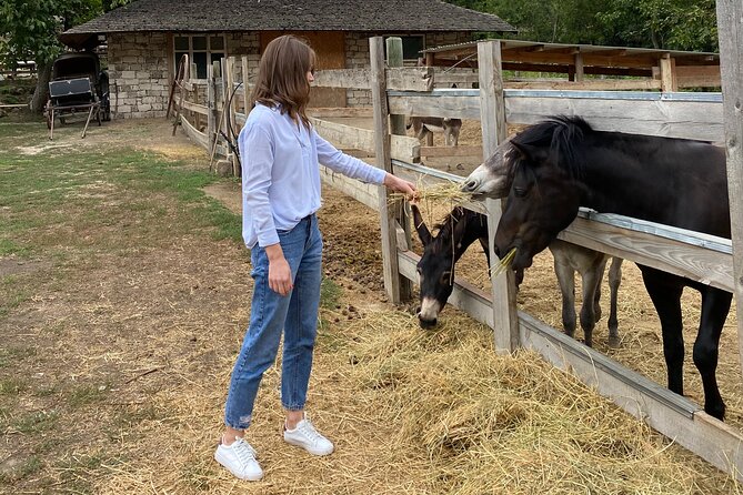 Half-Day Private Guided Tour of Orheiul Vechi and a Farmhouse - Five hours is useful, but tightly packed