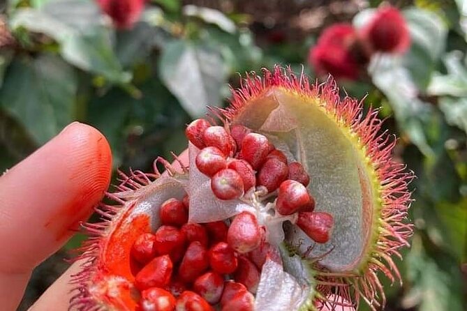 Half-Day Private Spice Tour in Kizimbani Farms, Zanzibar - Why a half-day spice tour fits Zanzibar well