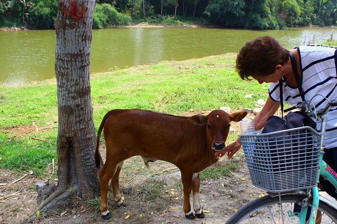 Half Day Ride Bike To The Farm and Cooking Activity with Foot Massage - Who will enjoy this Hoi An activity