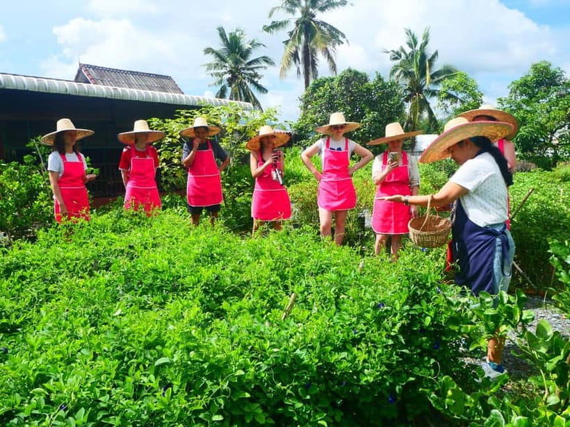 Half-Day Thai Cooking Class on a Local Farm Near Chiang Mai - Pool time after the cooking lesson