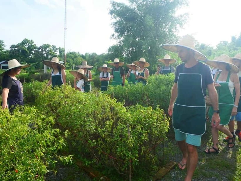 Half-Day Thai Cooking Class on a Local Farm Near Chiang Mai - What the $28 price covers