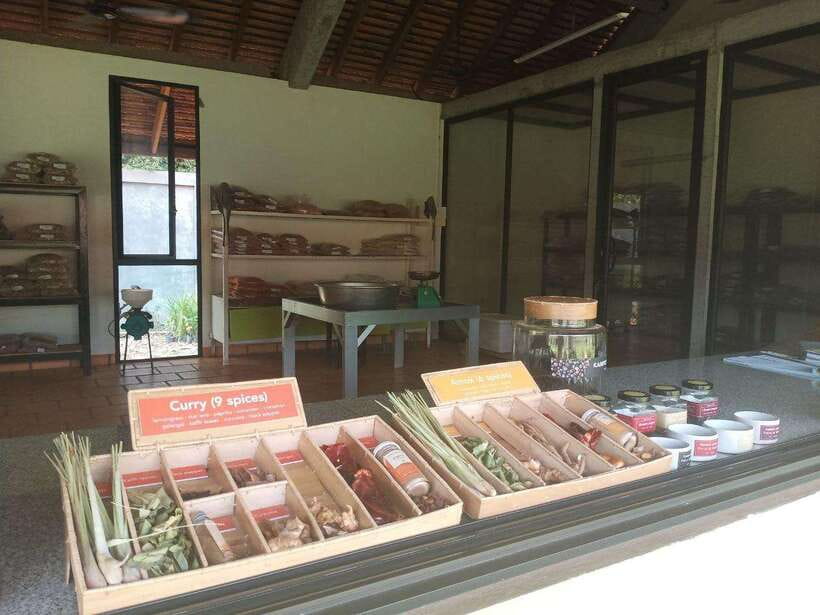 Half Day Trip: Silk Farm, Satcha, and Senteur d'Angkor Tour - Timing, comfort, and practical details