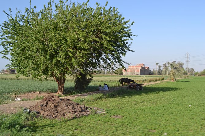 Half-Day Trip to Egyptian Green Farm from Cairo with Breakfast - Is $40 a fair price?
