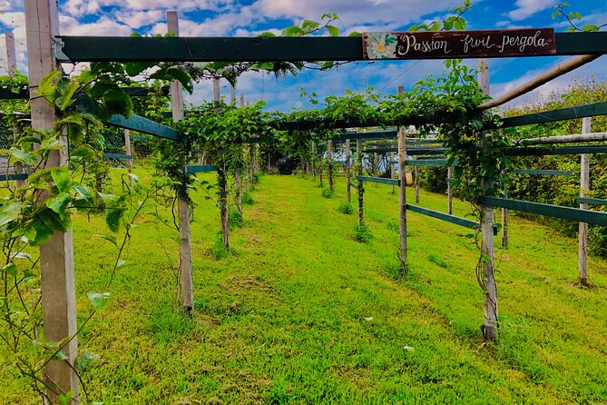 Hamakua Coast Farm Small-Group Walking and Tasting Tour - A working farm instead of a staged attraction