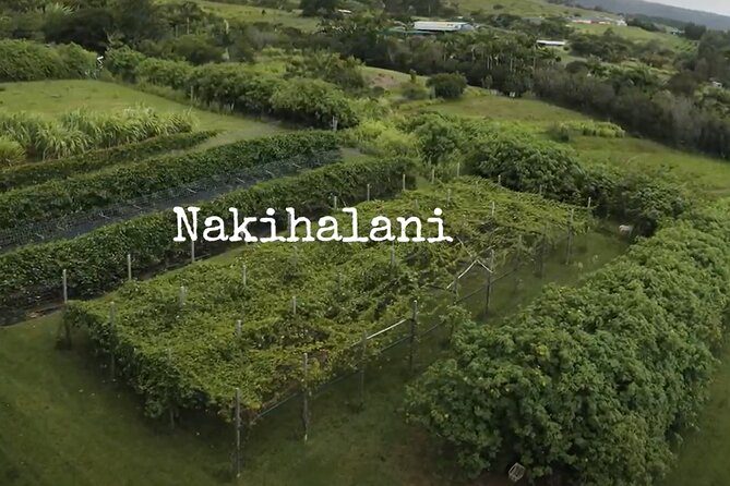 Hamakua Coast Farm Small-Group Walking and Tasting Tour - Staying longer for food and farm products