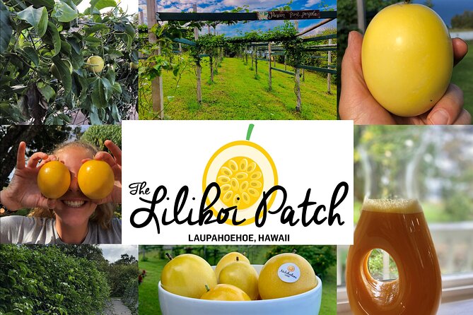 Hamakua Coast Farm Small-Group Walking and Tasting Tour - Is $49 a fair price?