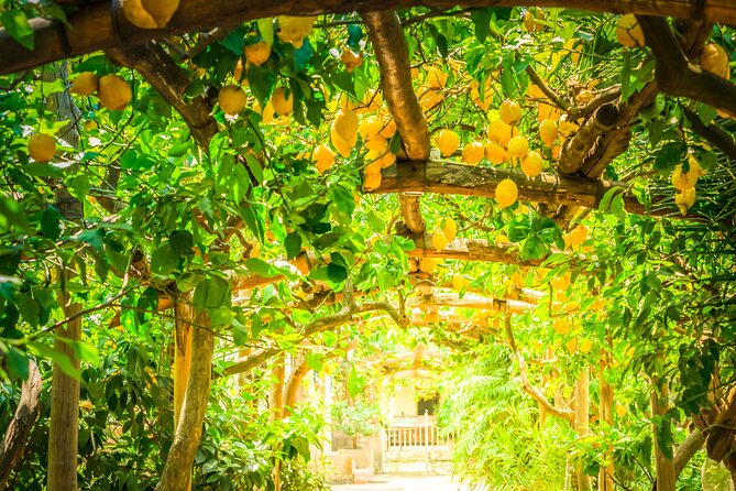 Hands-On Cooking Class & Farmhouse Tour on the Amalfi Coast - The meal is part of the lesson