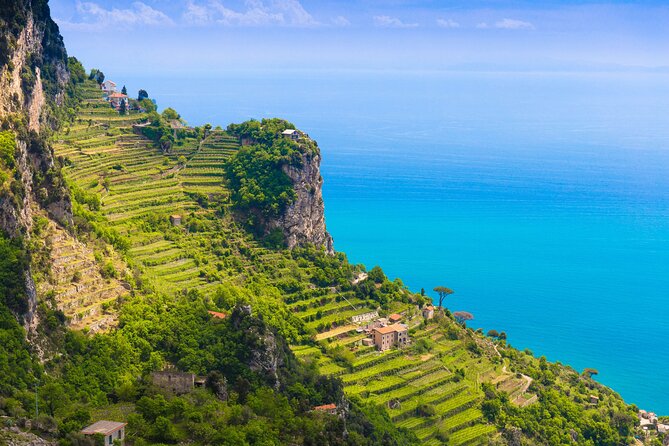 Hands-On Cooking Class & Farmhouse Tour on the Amalfi Coast - Walking through lemons, olives, grapes, and vegetables