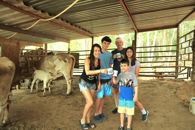 Hands-on Mexican Farm Experience: from Cow to Cheese - Key points to know before you book