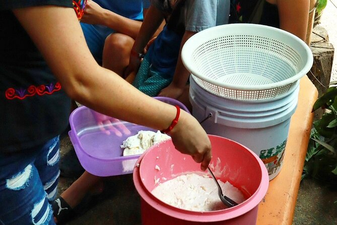 Hands-on Mexican Farm Experience: from Cow to Cheese - From fresh milk to artisanal cheese