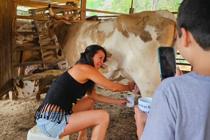 Hands-on Mexican Farm Experience: from Cow to Cheese - A short horse activity with local guidance