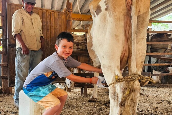 Hands-on Mexican Farm Experience: from Cow to Cheese - Starting with the cow and the source of your food