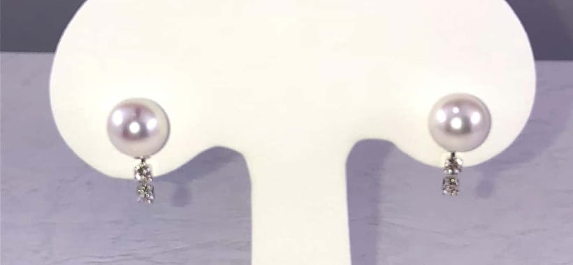 Hands-on Pearl Harvesting Workshop! - Who will enjoy this pearl workshop