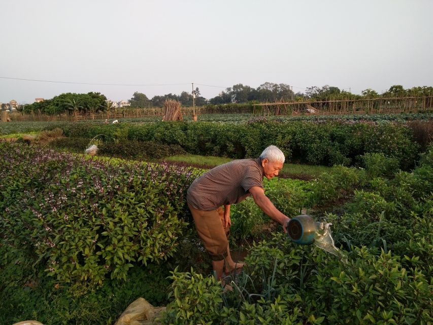 Hanoi Farm Tour and Cooking Class with Local Family - Who Will Enjoy This Four-Hour Visit