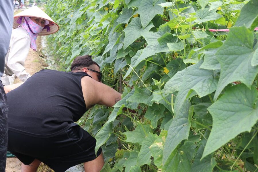 Hanoi: Village Farm Tour and Cooking Class with Lunch - Who will enjoy this day most