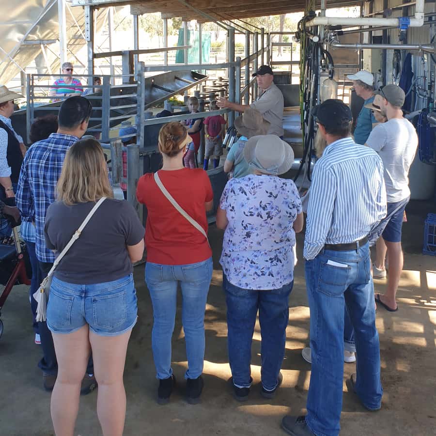 Harrisville: Summer Land Camel Farm Tour with Tasting - Price, Timing, and Booking Value