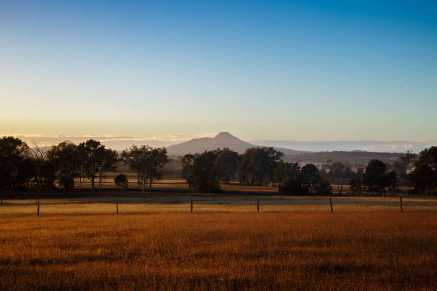 Harrisville: Summer Land Camel Farm Tour with Tasting - Simple Tips for a Better Visit