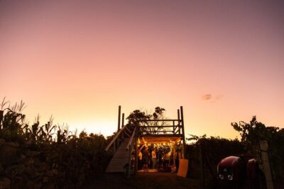 Harvest Evening – Grape Pisa at Vinhos Cristofoli