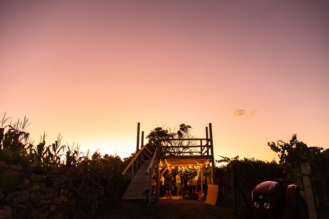 Harvest Evening - Grape Pisa at Vinhos Cristofoli - Grape Stomping the Old-Fashioned Way