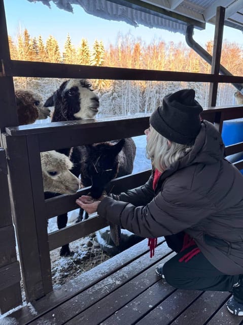 Helsinki: Alpaca Farm Tour with Guided Walk (private) - FAQ