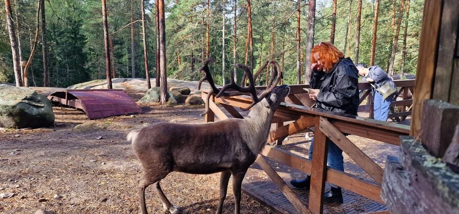 Helsinki Highlights+Nuuksio Buggy Ride+Reindeer farm visit - Temppeliaukio Church is the city’s unusual highlight