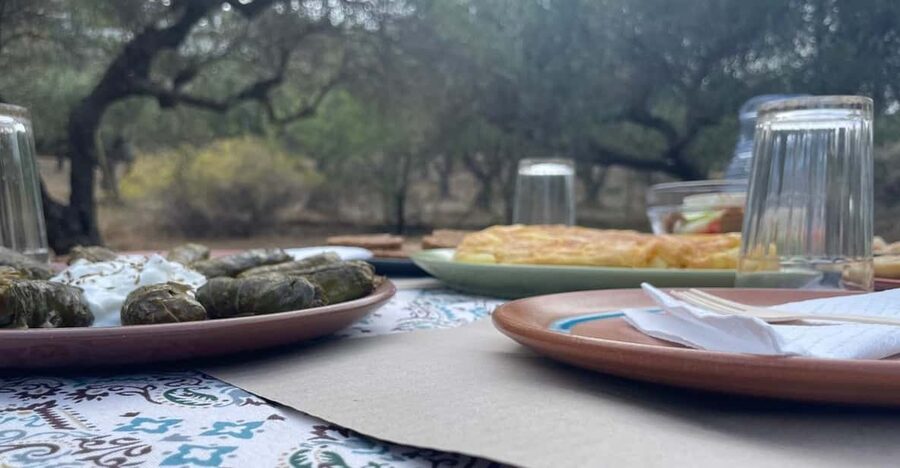 Heraklion: Cretan Farmers Brunch and Olive Grove Tour - Walking through the olive grove near Heraklion