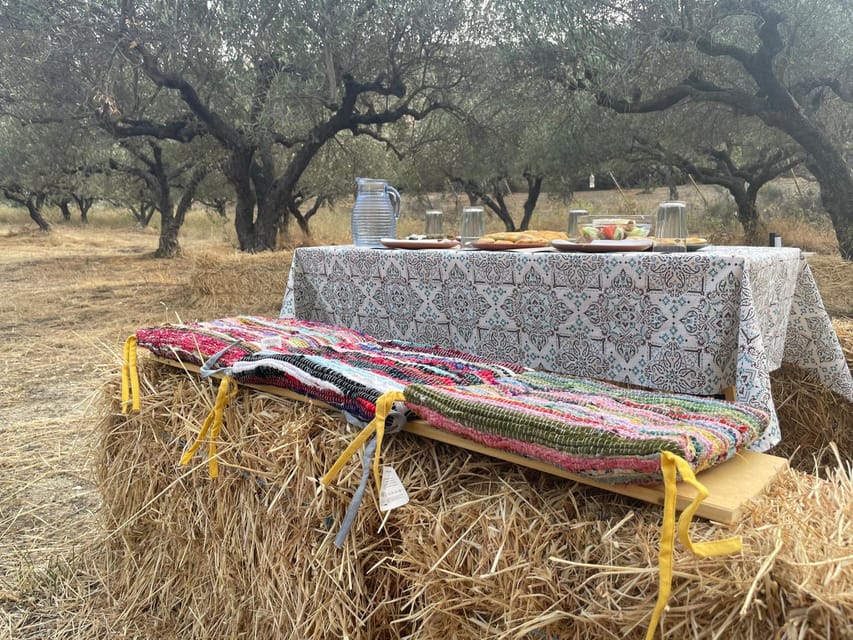 Heraklion: Cretan Farmers Brunch and Olive Grove Tour - Alex Alexakis brings the farm to life