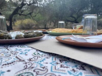 Cretan Farmers Brunch and Olive Grove Tour