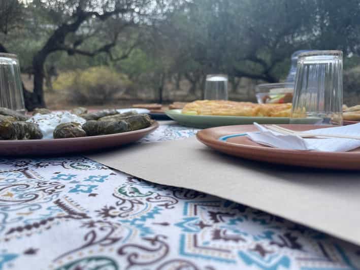 Heraklion: Cretan Farmers Brunch and Olive Grove Tour - The unusual stop at the dragon fruit farm