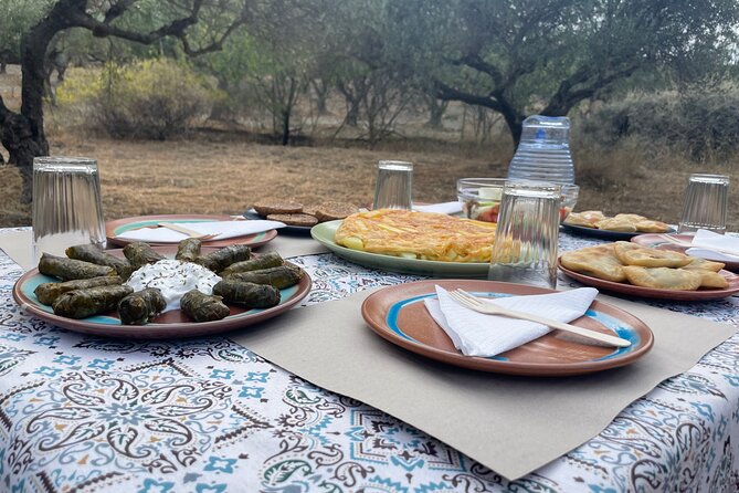 Heraklion:Olive & Dragon Fruit Farm Tour & Cretan Farmers Brunch - What happens among the olive trees