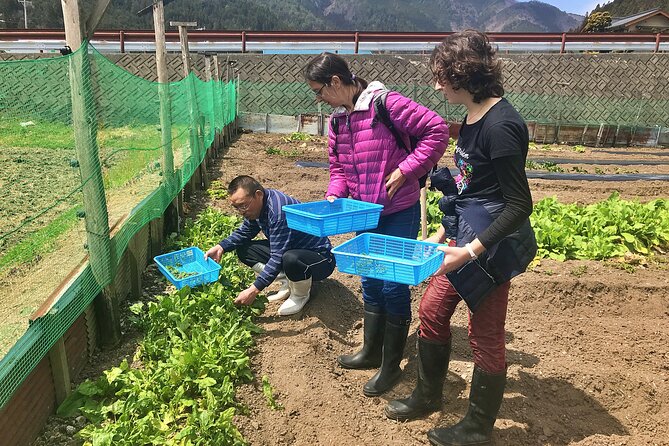 Hida Private E-Bike Tour with Premium Lunch and Farm Experience - The uphill ride into Hida’s rural valleys