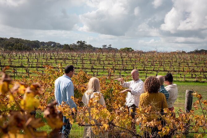 Hidden Gems: Boutique Full-Day Wine, Farm & Lunch Tour - Why this is more than a winery shuttle