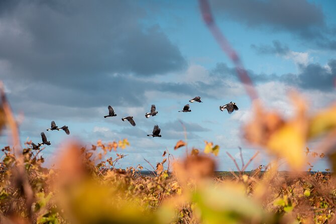 Hidden Gems: Boutique Full-Day Wine, Farm & Lunch Tour - Redgate Wines finishes with a personal touch